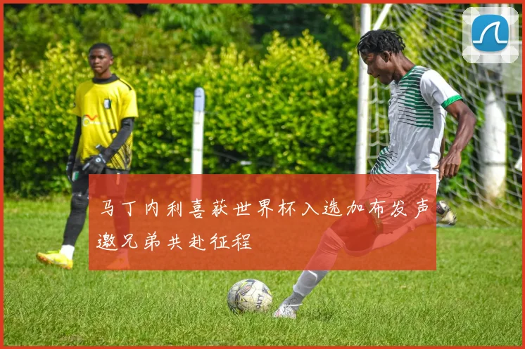 马丁内利喜获世界杯入选加布发声邀兄弟共赴征程